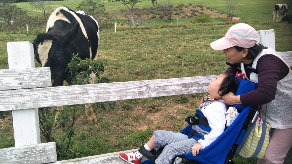 多重障礙小朋友恩恩初鹿牧場看乳牛