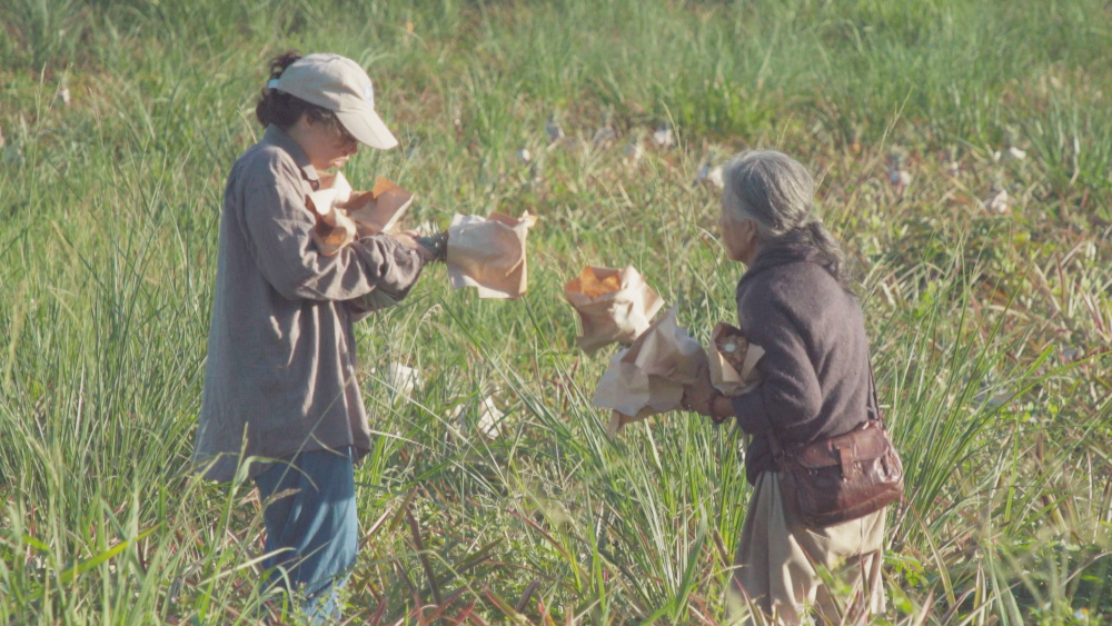喬玉在農地裡與人互動