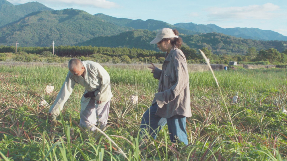 喬玉台東跟著師父農作