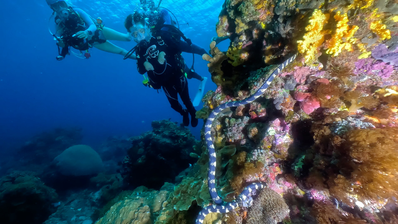 從嚮往海面，到潛入海底，凱哥終於親眼看見他一直想探索的水下世界