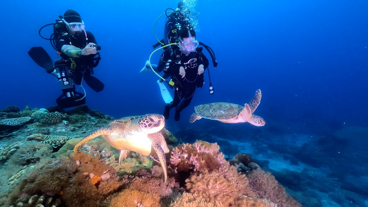 腦性麻痺的凱哥終於在國內完成潛水的夢想-在綠島潛水看到了海龜