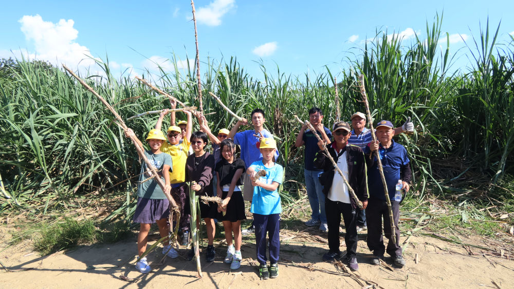 嘉義縣 南靖國小